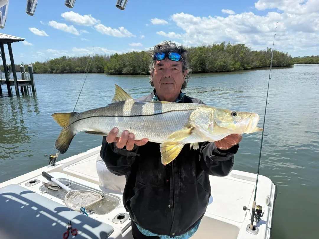 Snook caught along the mangroves of Mosquito Lagoon