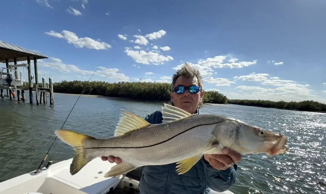 Snook caught near the mangroves