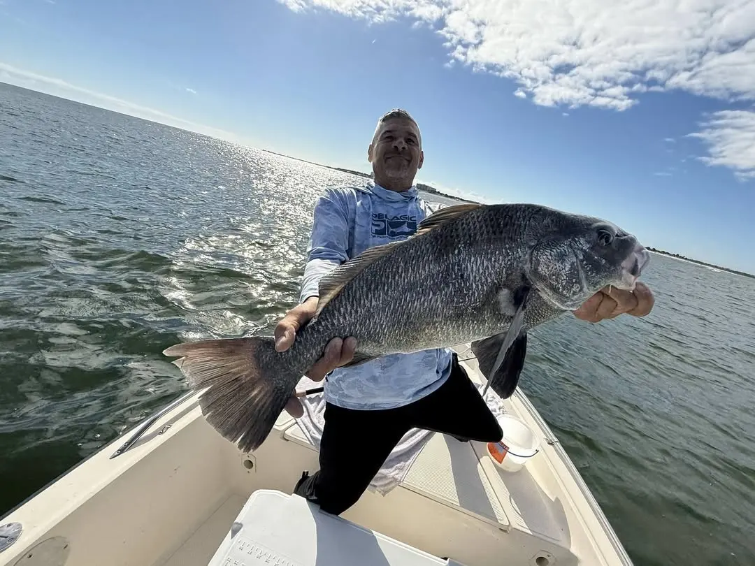 Angler with a black drum on the bow