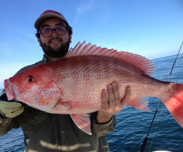 Red snapper caught on the nearshore reefs