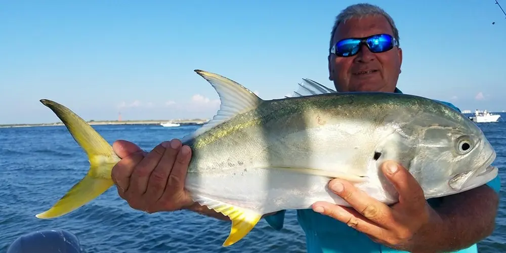 Big jack crevalle from the inlet