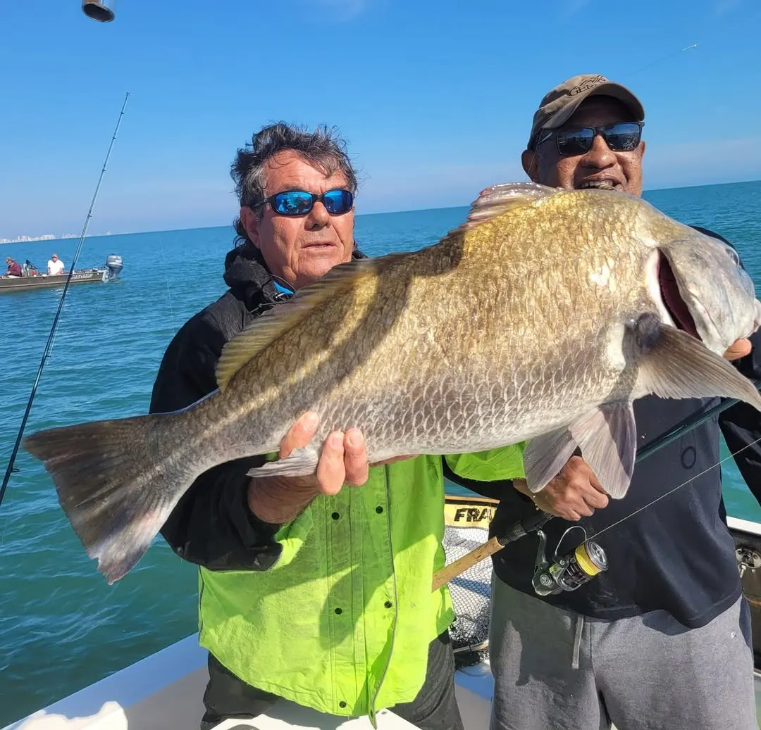 Another black drum from a trip with Capt. Fred
