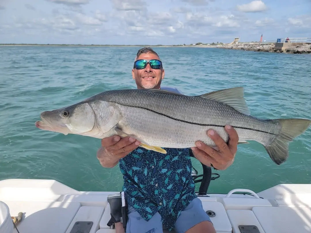 Snook caught with Capt. Fred