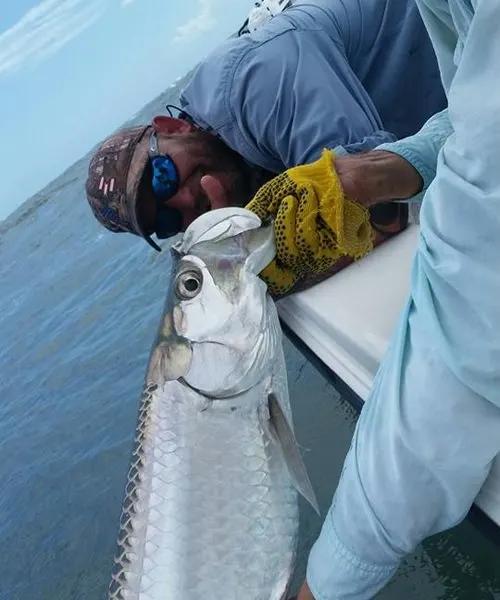 Another tarpon from a trip with Capt. Fred